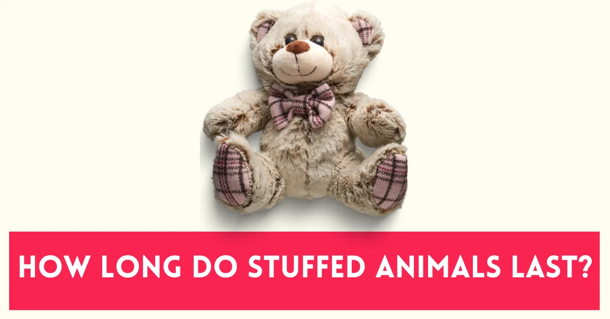 How Long Do Stuffed Animals Last?