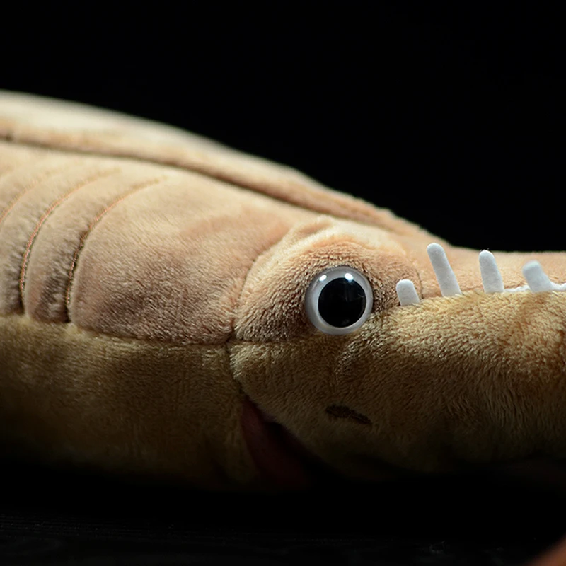 Saw shark plush online